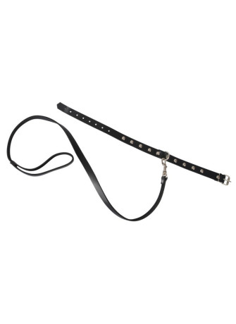 Collar with Leash